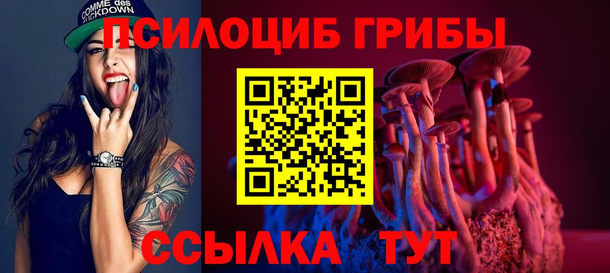 Галлюциногенные грибы Cubensis  Вход с VPN  Воронеж  Галлюциногенные грибы мухоморы 